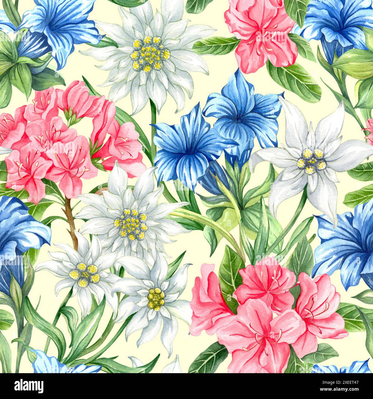 Nahtloses Muster mit alpinen Blumen. Edelweise, Rhododendron, gentiana. Aquarelldruck für Textilien, Tapeten, Deckblätter, Oberflächen Stockfoto