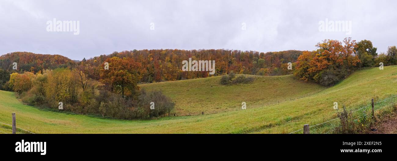 Breites Herbstpanorama hügeliges Gelände mit Wald. Gelbliche Bäume und noch grünes Gras, eine saubere Wiese und ein Tierzaun im Vordergrund. Stockfoto