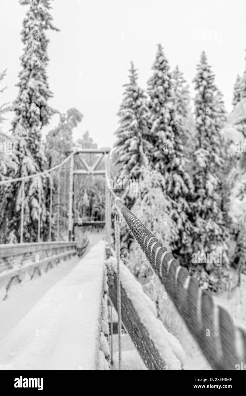 Eine schneebedeckte Hängebrücke, die in einen Winterwald führt Stockfoto