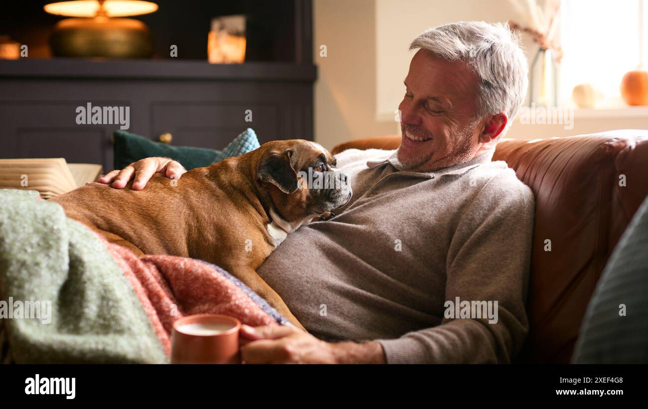 Reifer Mann Zu Hause Im Pullover Mit Heißem Getränk Von Tee Oder Kaffee In Der Tasse Streicheln Haustier Französisch Bulldog Stockfoto