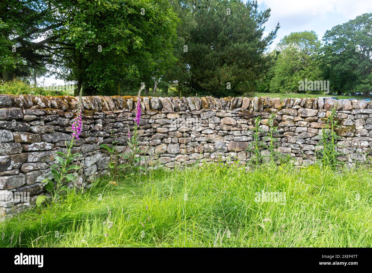 In Hutton-le-Hole Village wurde in den 1700er Jahren hauptsächlich Schafe und Kälber beschlagnahmt, gebaut in North Yorkshire, England, Großbritannien Stockfoto