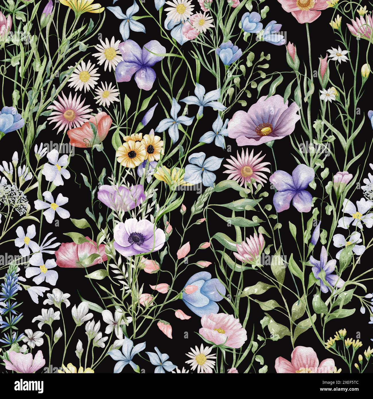 Nahtloses Blumenmuster mit Wildblumen und Kräutern. Aquarellillustration blühende Wiese Hintergrund. Stockfoto