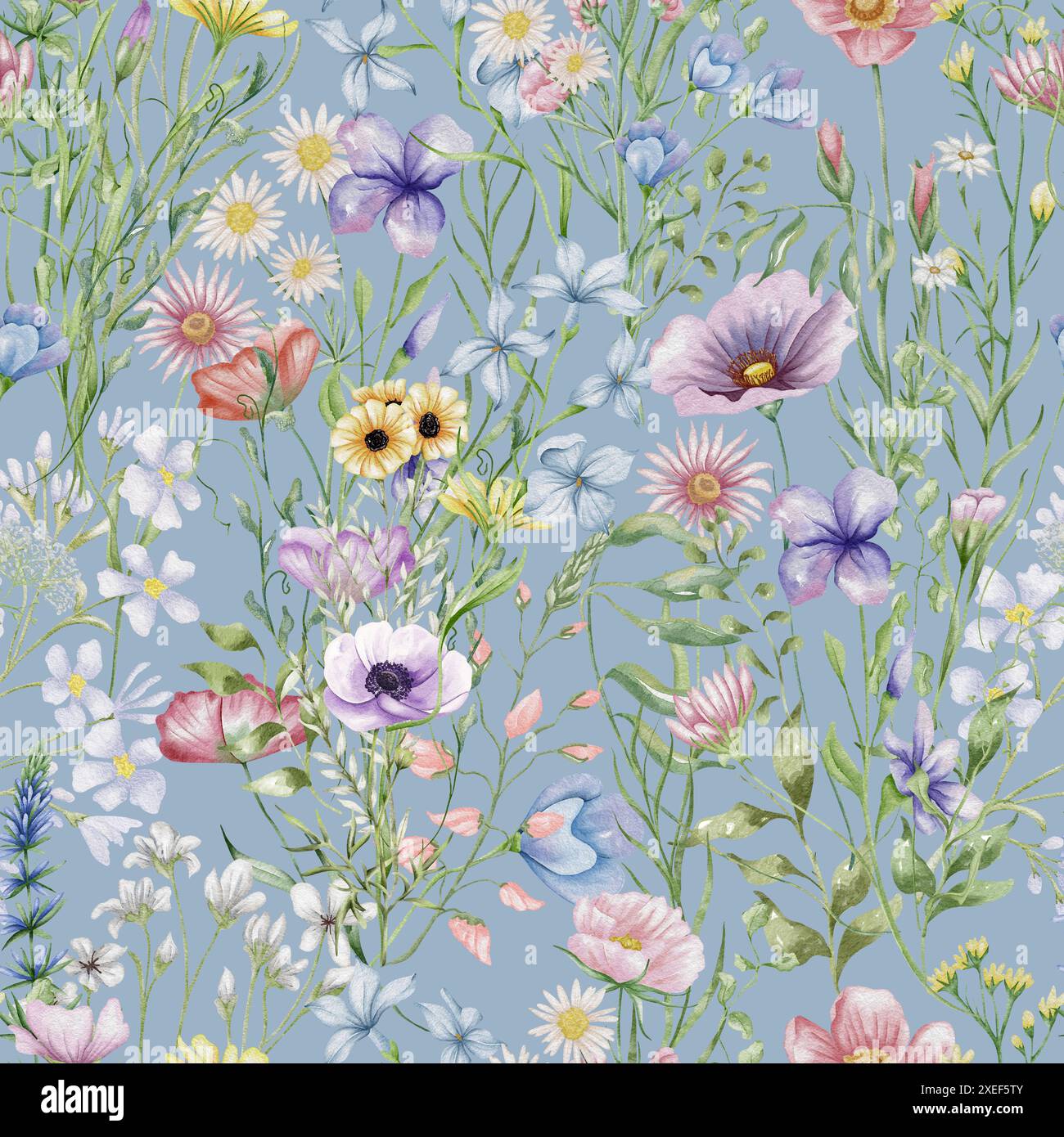 Nahtloses Blumenmuster mit Wildblumen und Kräutern. Aquarellillustration blühende Wiese Hintergrund. Stockfoto