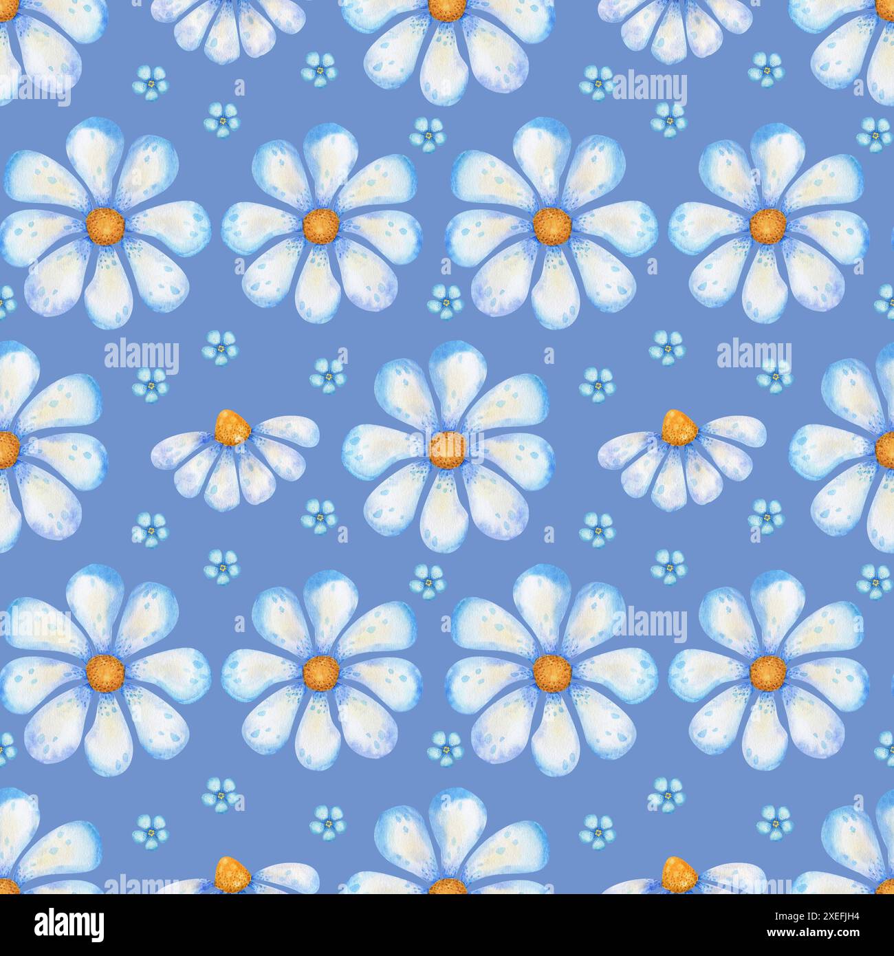 Muster mit Gänseblümchen, wilden Blumen. Blumenmuster auf blauem Hintergrund für Stoff, Geschenkpapier Stockfoto