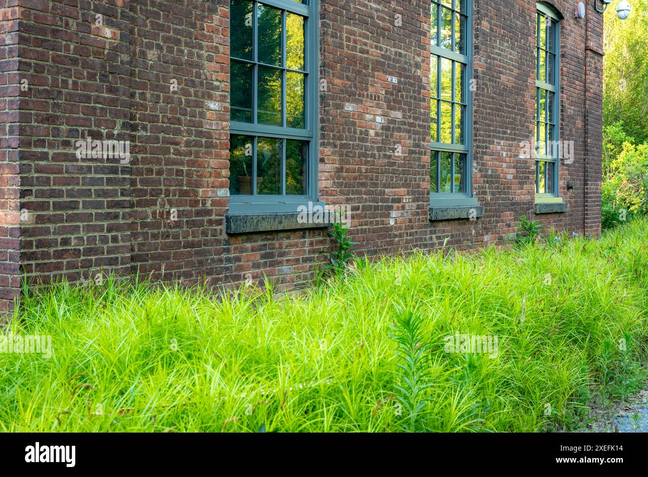 Altes Backsteingebäude mit grünen Fensterrahmen. Stockfoto