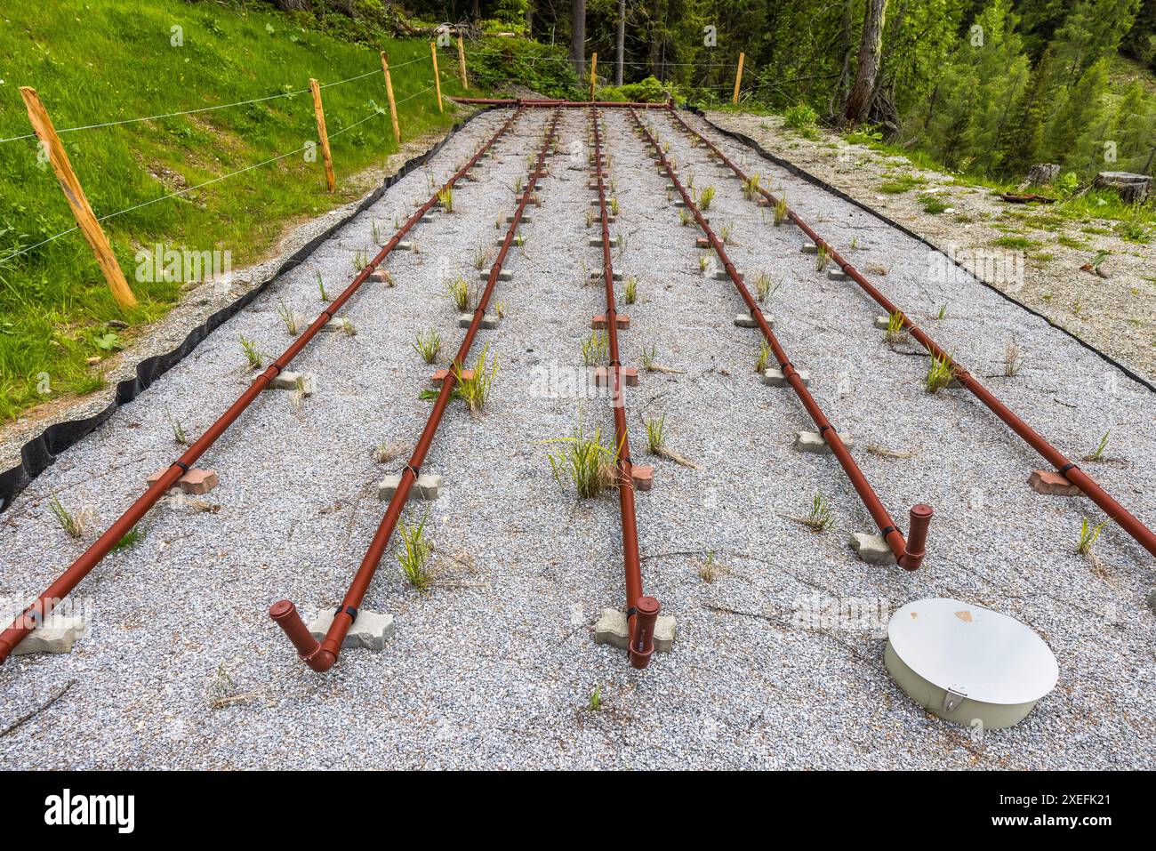 Errichtetes Feuchtgebiet unterhalb der Filzmoosalm, Großarl, Salzburg, Österreich Stockfoto