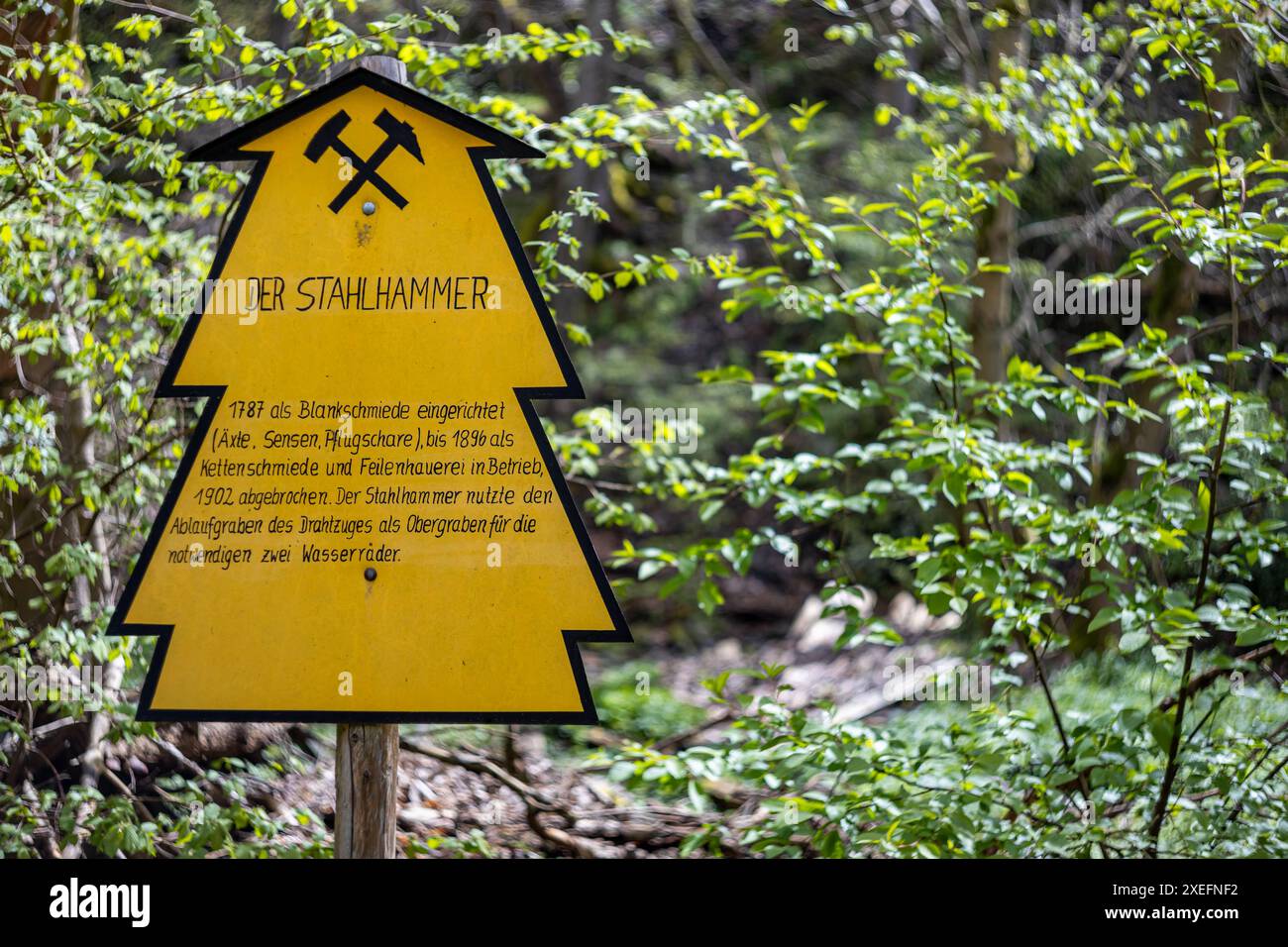 Der Stahlhammer Industriekultur im Selketal Harz Stockfoto