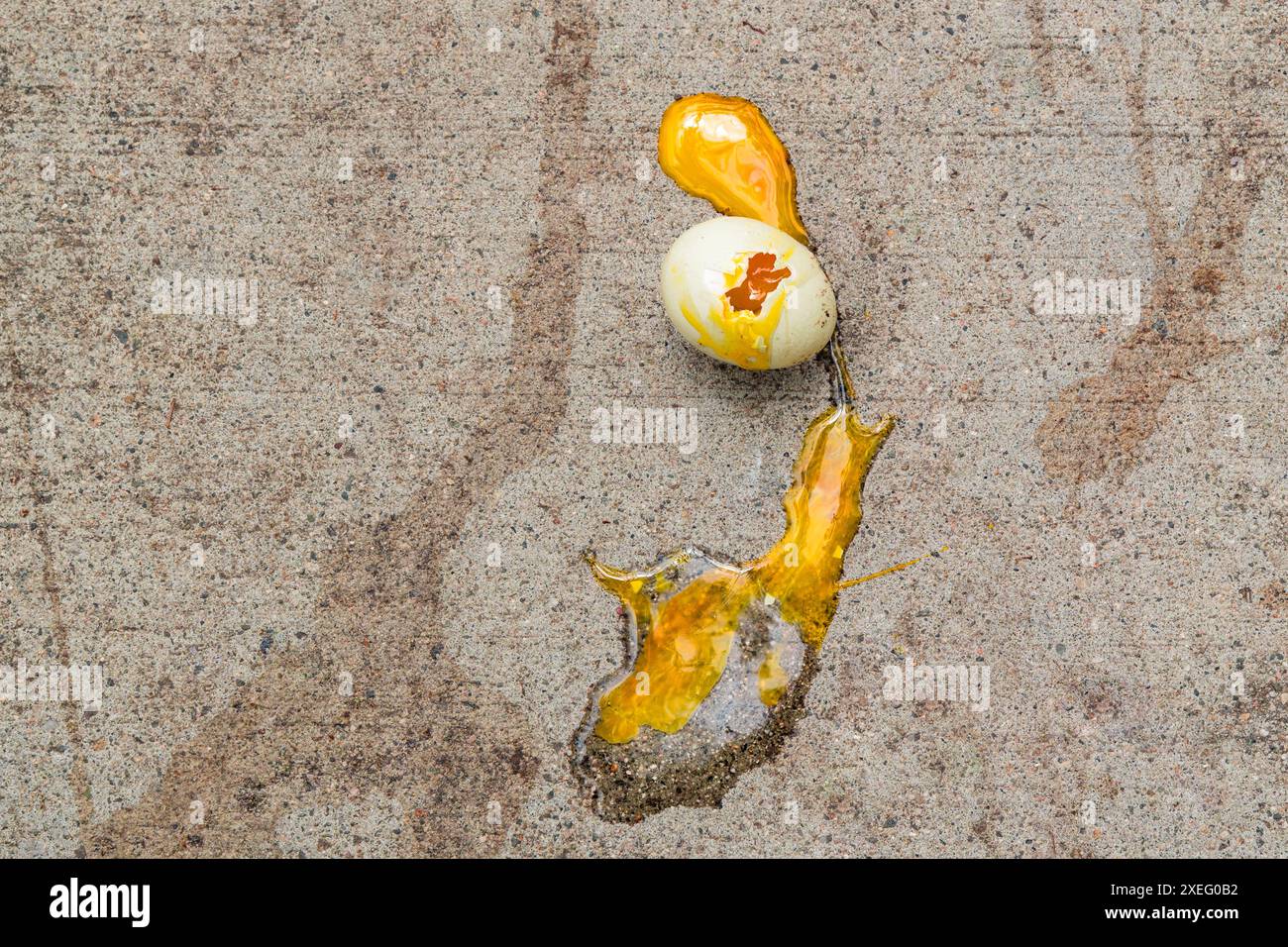 Gebrochenes Enteneier auf dem Gehweg. Stockfoto