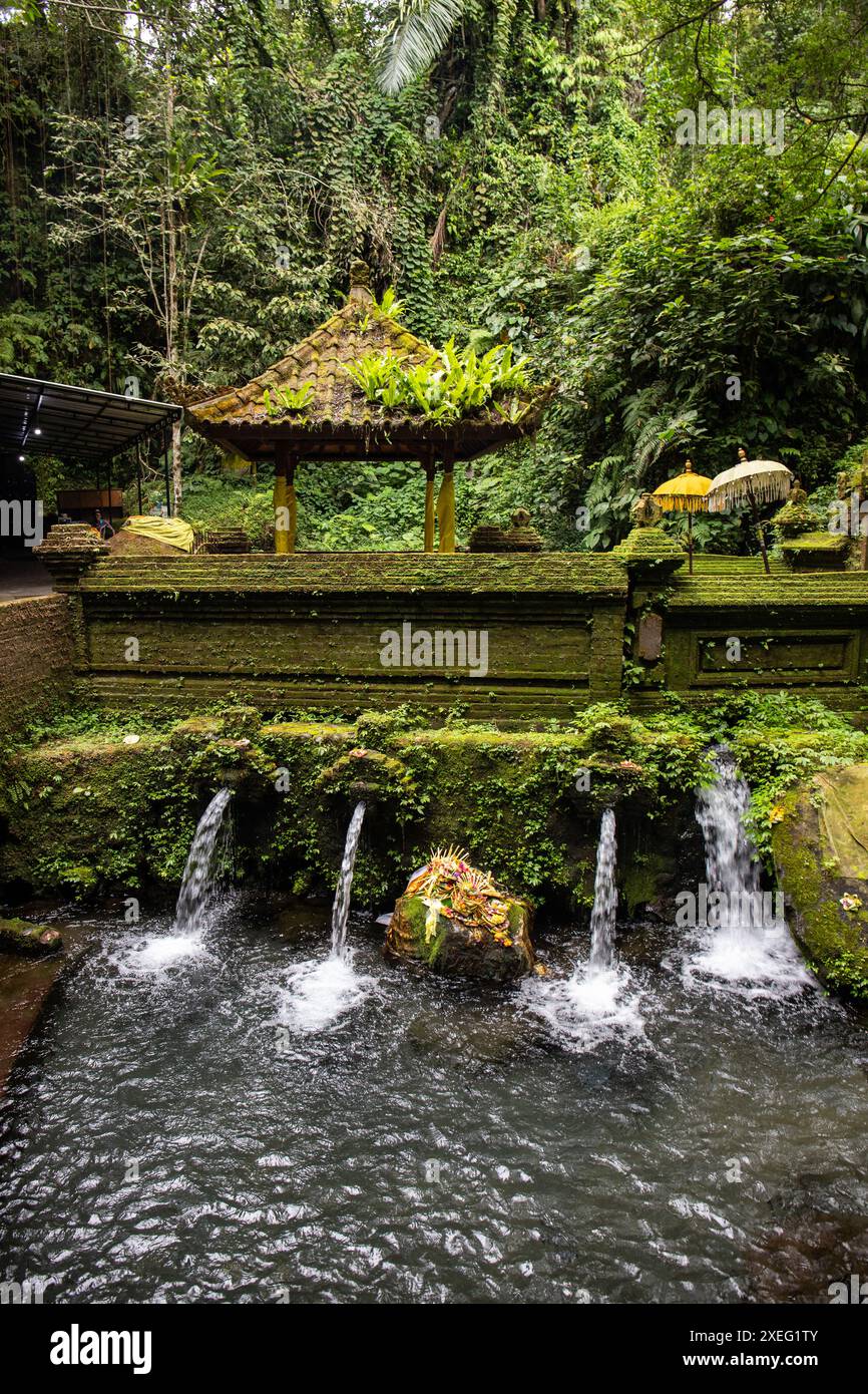 Ein kleiner Tempel, der für heilige Waschungen benutzt wird. Heiliges Wasser in Bali, Indonesien Stockfoto