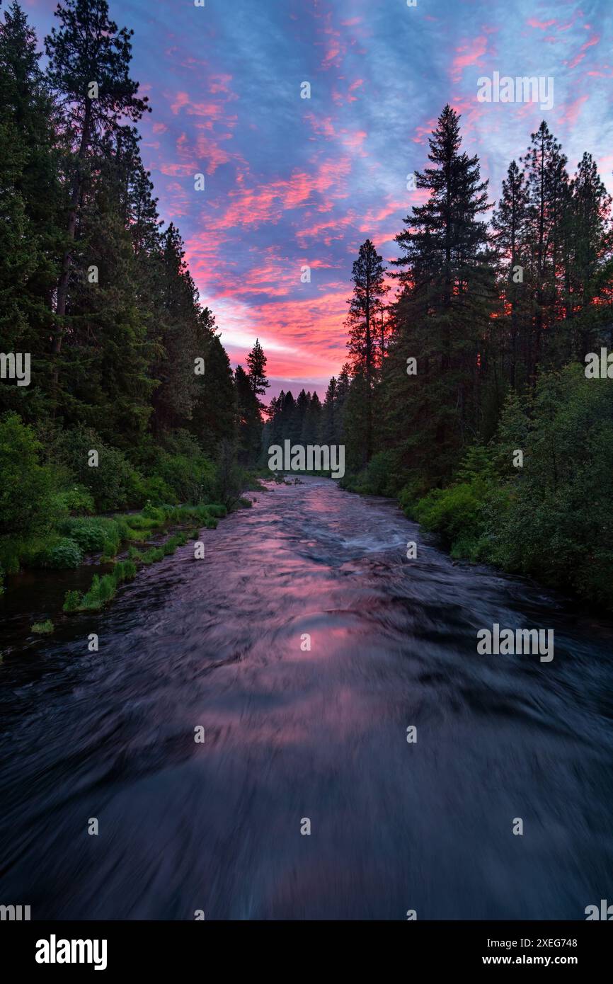 Sonnenaufgang am Metolius River in Zentral-Oregon in der Nähe der Wizard Falls Fish Hatchery. Stockfoto