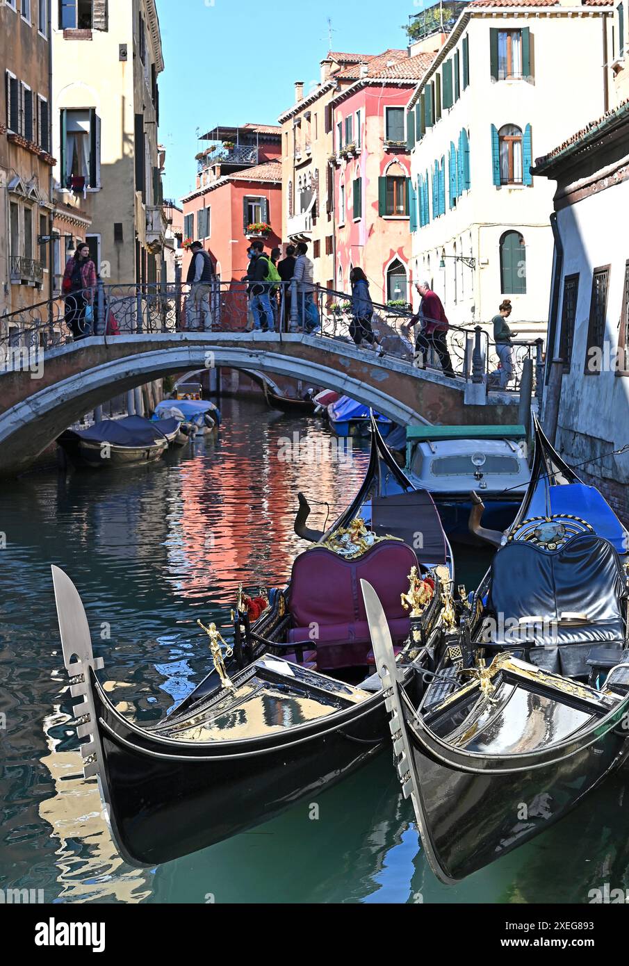 Venezia, Venedig, Veneto, Italien Stockfoto