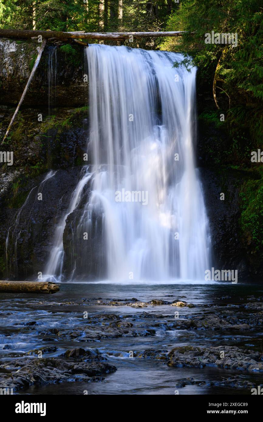 Der Vorhang aus seidenem Wasser fällt über die Upper North Falls am North Fork Silver Creek im Silver Falls State Park Stockfoto