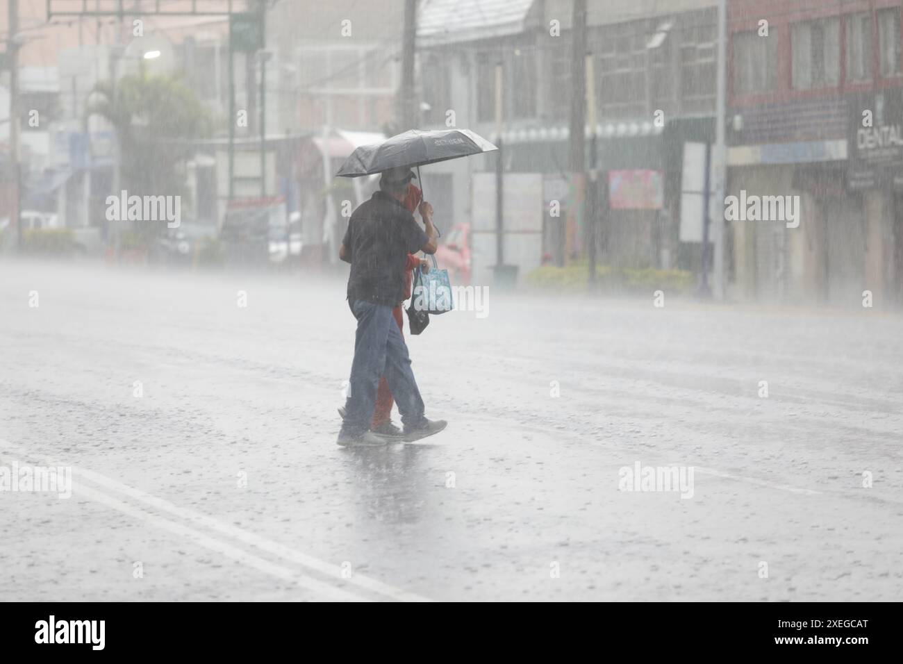 Mexiko-Stadt, Mexiko. Juni 2024. Ein Paar bedeckt sich mit einem Regenschirm vor den starken Regenfällen auf der Calzada Ermita südlich der Stadt, die durch die Tropenwelle Nummer 5 in Mexiko heimgesucht wurde. Aufgrund der starken Überschwemmungen, die mehrere Stadtteile in der Stadt erlitten haben, wurde der orange Alarm aktiviert. Am 27. Juni 2024 in Mexiko-Stadt. (Foto: Ian Robles/ Credit: Eyepix Group/Alamy Live News Stockfoto