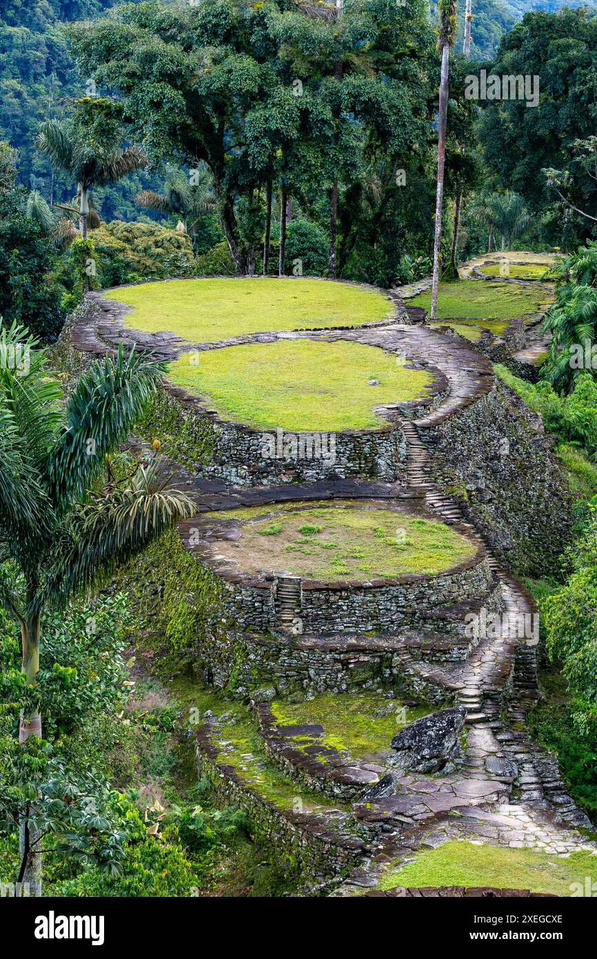 Ciudad Perdida, alte Ruinen in den Bergen der Sierra Nevada. Santa Marta, Kolumbien Wildnis Stockfoto