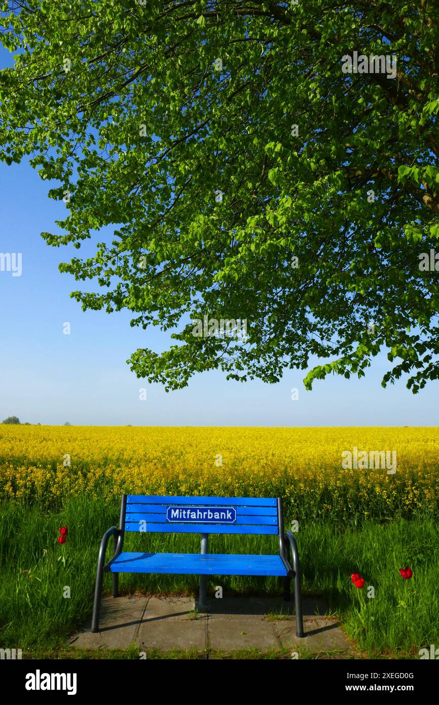 Sitzbank in Holstein Schweiz, Deutschland Stockfoto