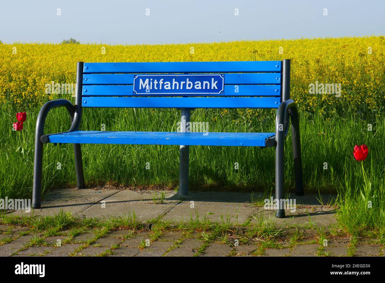 Sitzbank in Holstein Schweiz, Deutschland Stockfoto