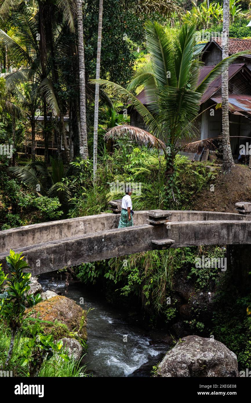 Ein kleiner Tempel, der für heilige Waschungen benutzt wird. Heiliges Wasser in Bali, Indonesien Stockfoto