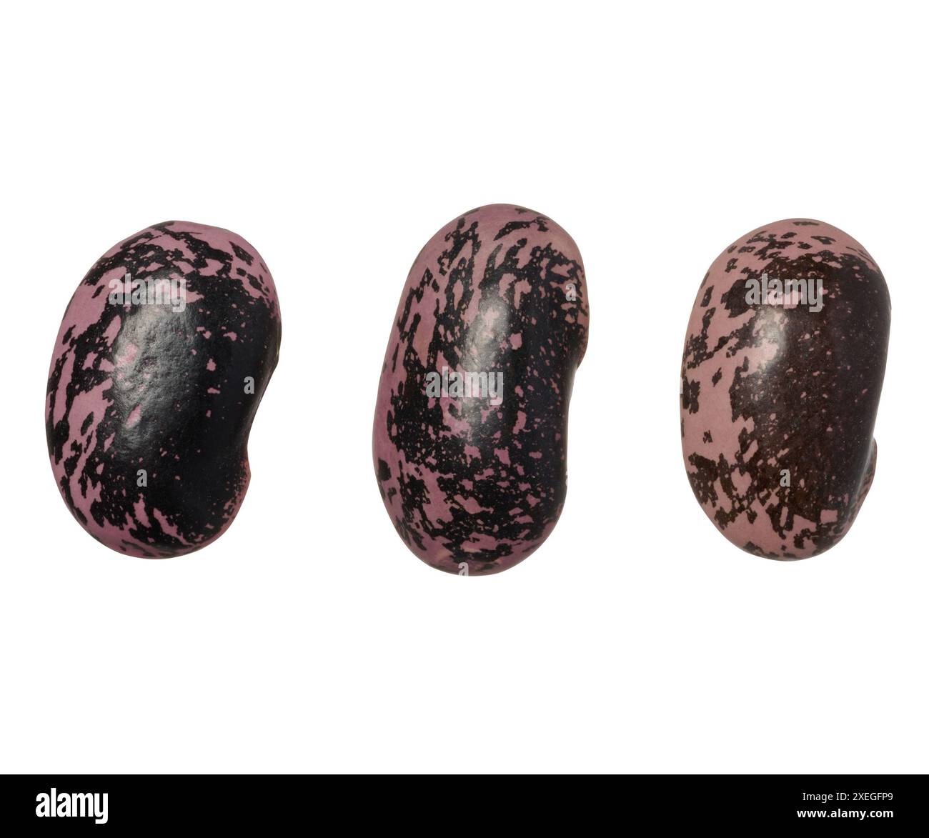 Rohe braune Bohnen auf isoliertem Hintergrund Stockfoto