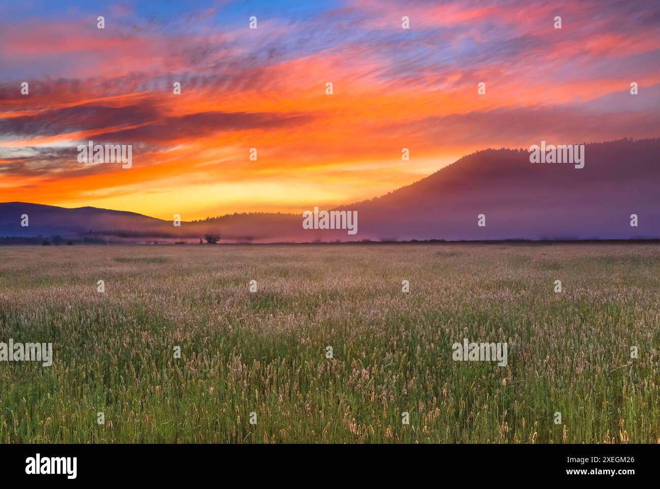 Sonnenaufgang über einer Heuwiese in der Nähe von avon, montana Stockfoto