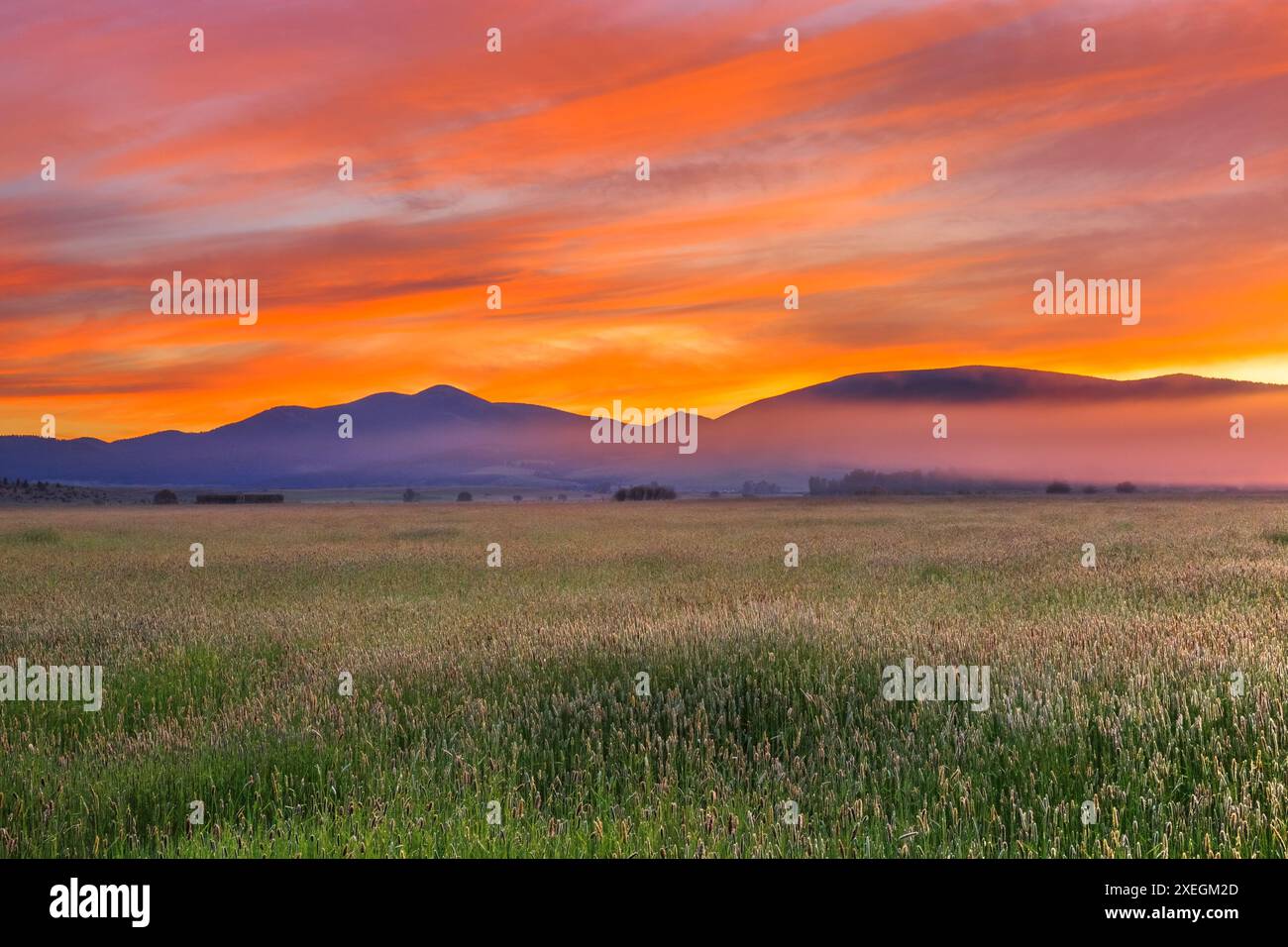 Sonnenaufgang über einer Heuwiese in der Nähe von avon, montana Stockfoto