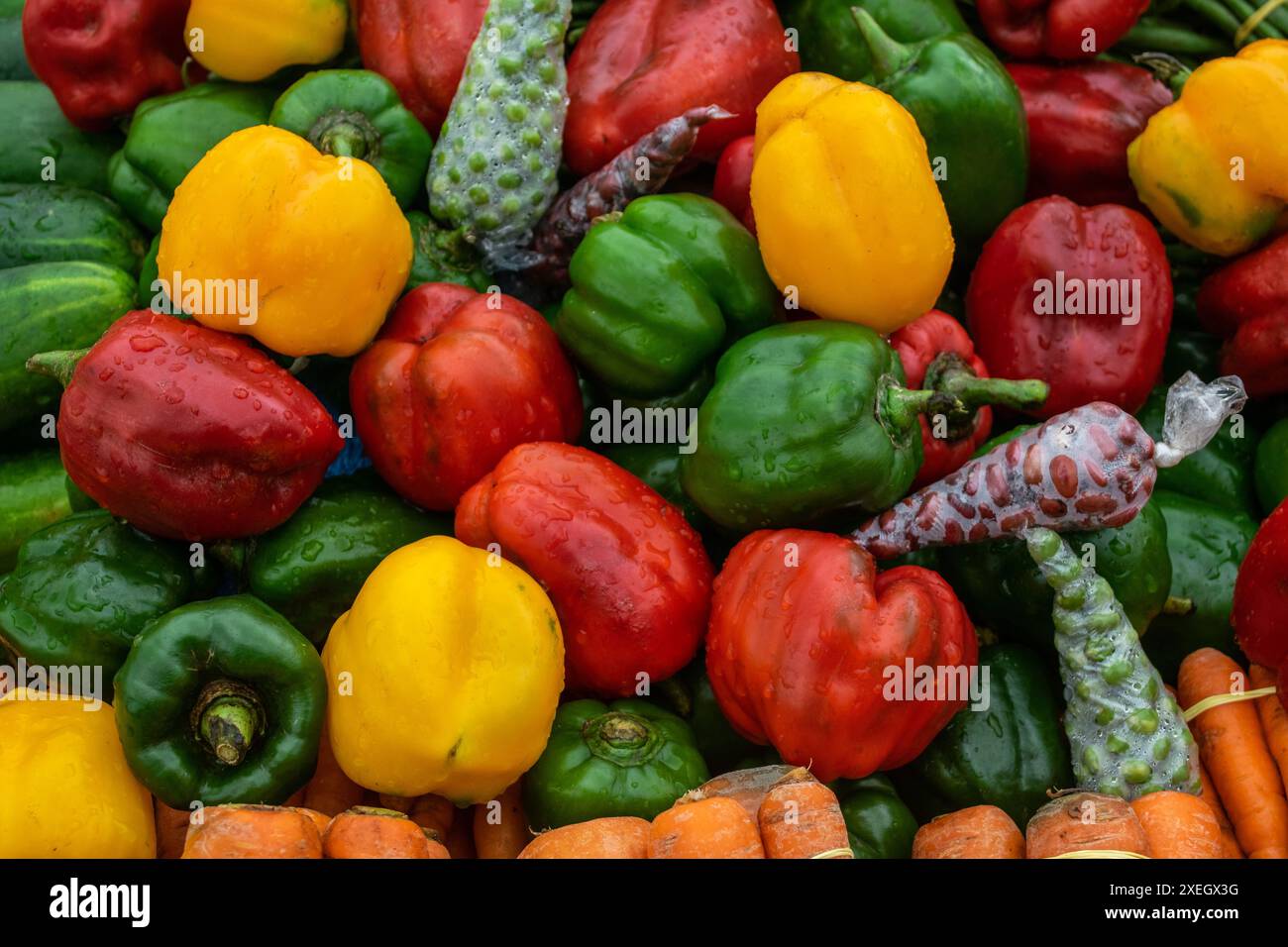 Schließen Sie buntes frisches Gemüse und Obst auf dem Markt Stockfoto