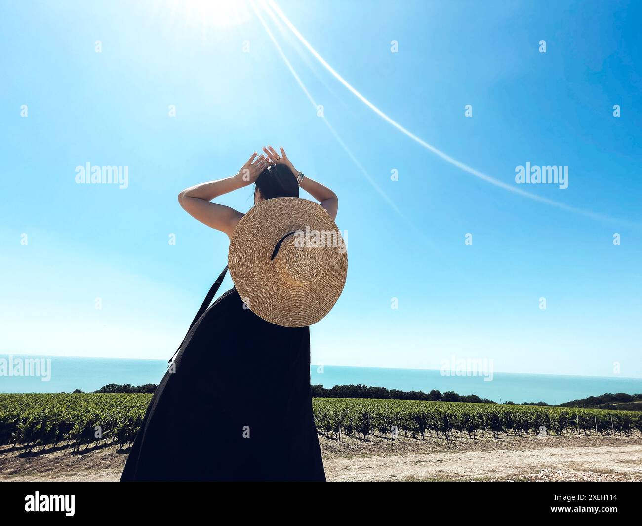 Eine junge Frau in schwarzem, langem Kleid und breitem Strohhut steht in anmutiger Pose und schaut auf den Weinberg. Das schlanke Mädchen steht BA Stockfoto