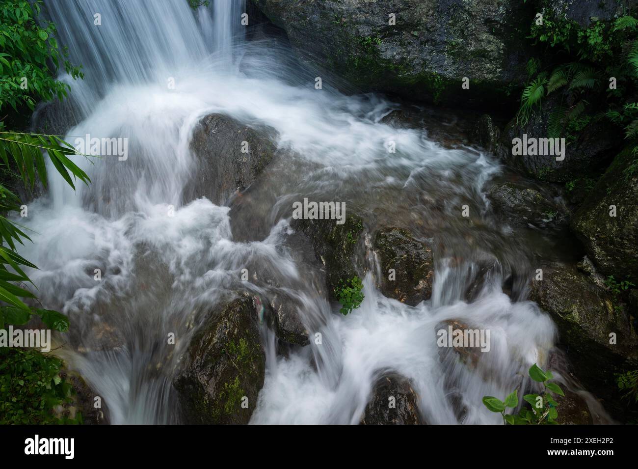 Paglajhora Wasserfall , berühmter Wasserfall im Monsun, in Kurseong, Himalaya Berge von Darjeeling, Westbengalen, Indien. Ursprung des Mahananda River. Stockfoto