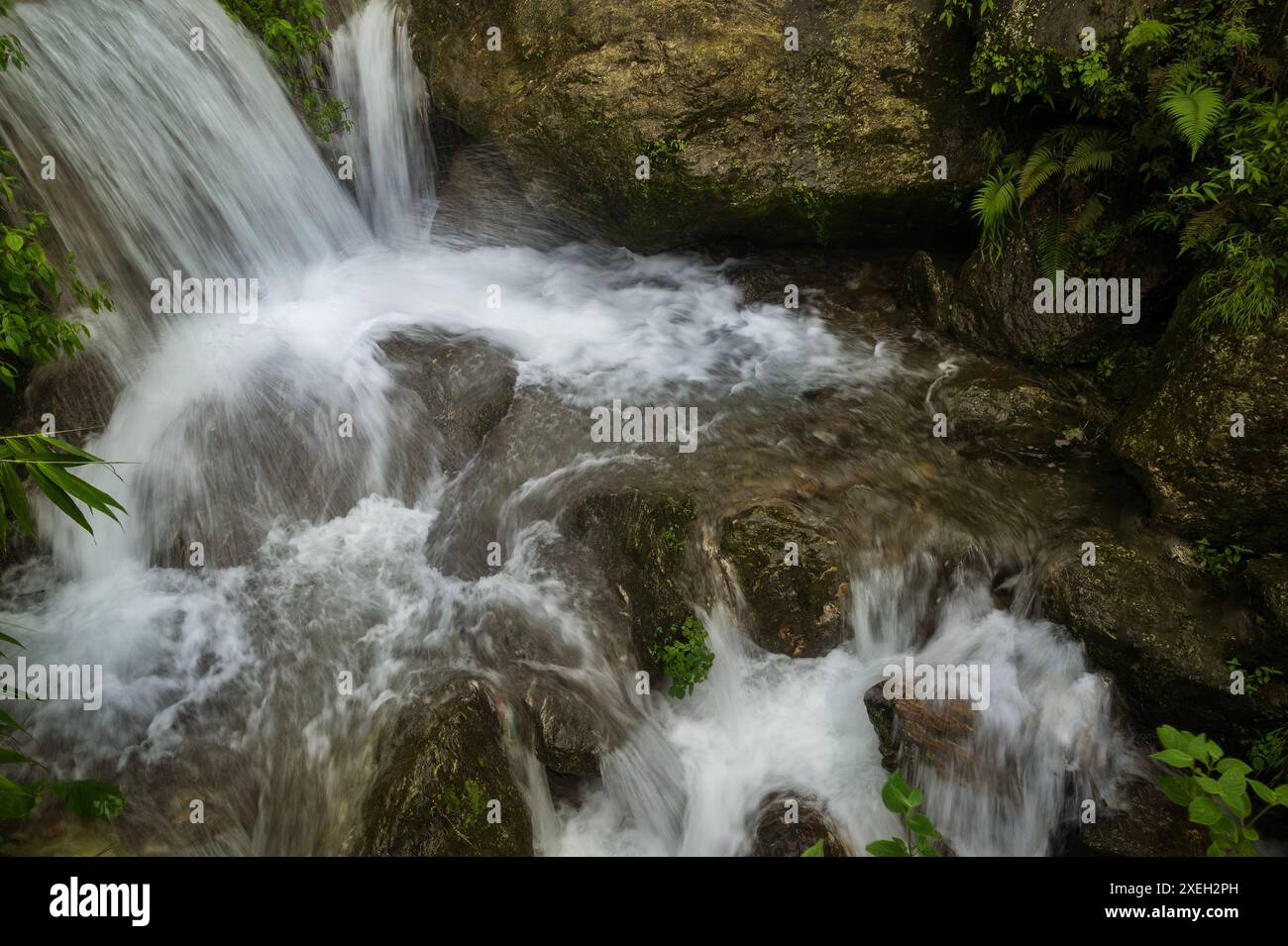 Paglajhora Wasserfall , berühmter Wasserfall im Monsun, in Kurseong, Himalaya Berge von Darjeeling, Westbengalen, Indien. Ursprung des Mahananda River. Stockfoto