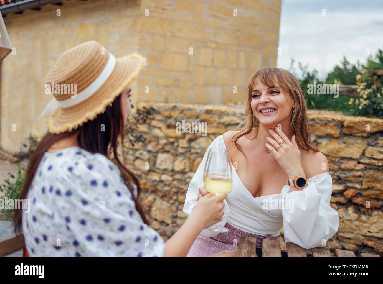 Fröhliche, charmante Mädchen stoßen mit Sekt an und entspannen sich an einem gemütlichen Ort in der Natur Stockfoto