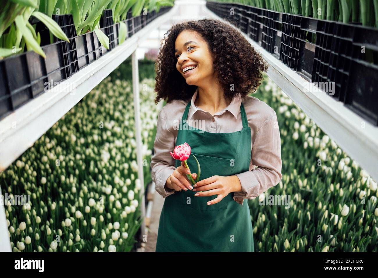 Junge süße gemischte Rasse Mädchen in grüner Schürze hält Pfingstrose Tulpe auf dem Hintergrund von Plantagen mit Blumen im Gewächshaus. Stockfoto