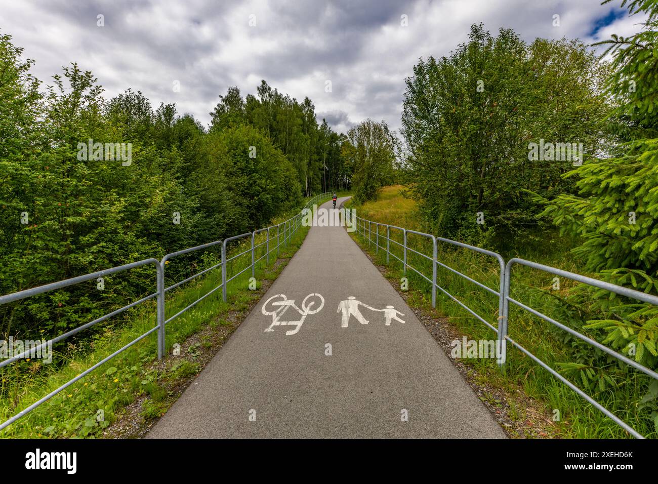 Panorama der Tatra Velo Czorsztyn Fahrradroute rund um den See touristische Attraktionen von Czorsztyn Stockfoto