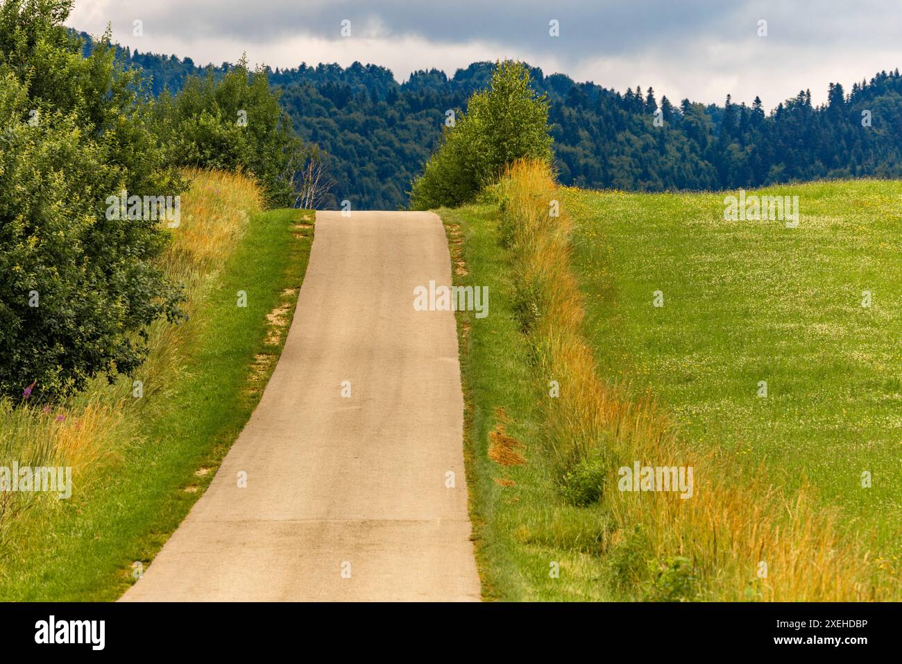 Panorama der Tatra Velo Czorsztyn Fahrradroute rund um den See touristische Attraktionen von Czorsztyn Stockfoto