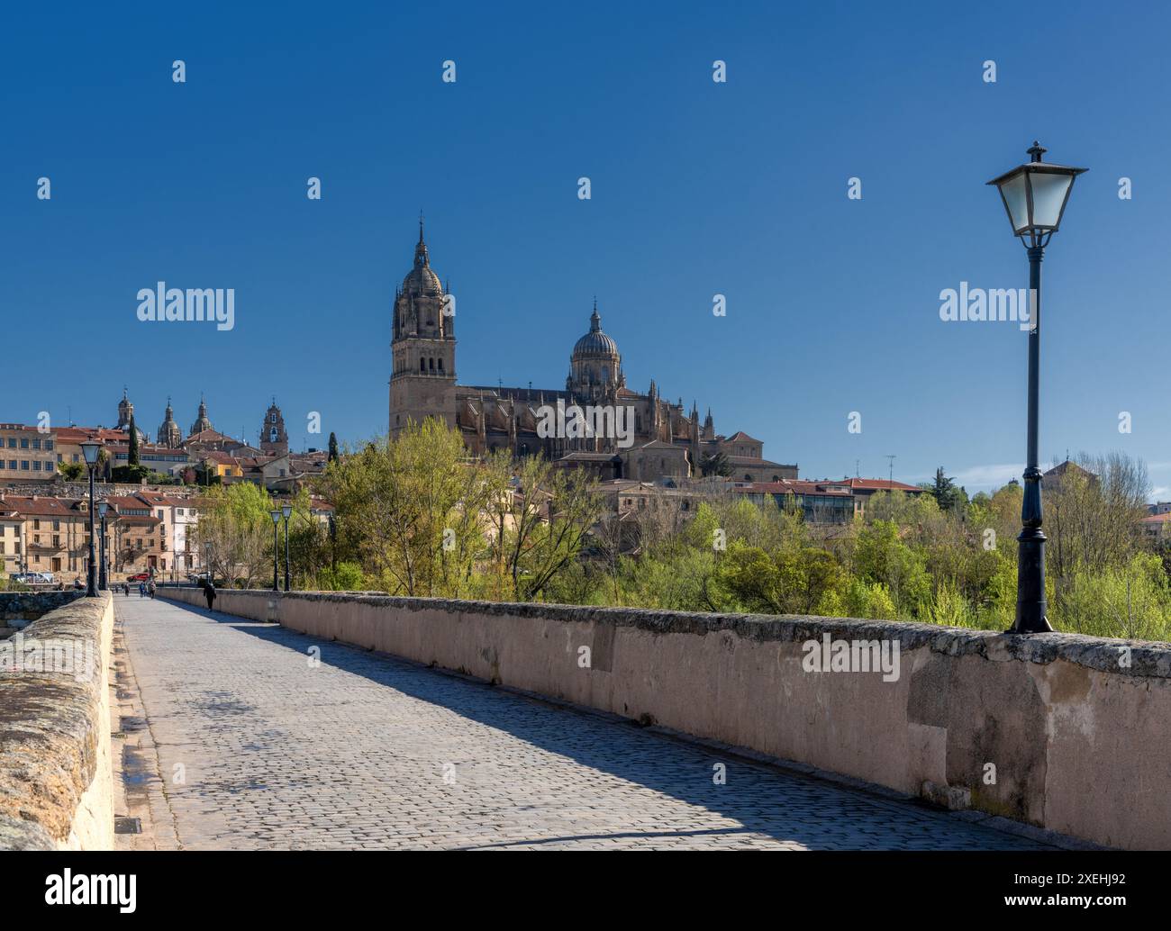 Blick über die alte Römische Brücke in Salamanca auf die Wahrzeichen Kathedrale, die die Skyline der Stadt dominiert Stockfoto