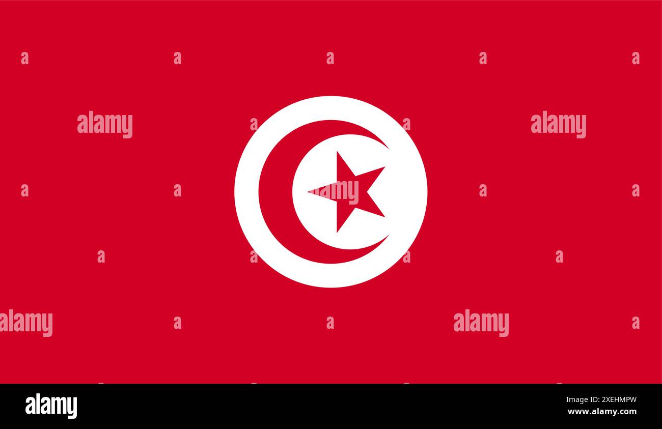 TUNISIA Flag Vektor Illustration, offizielle Farbe, Nationalflagge, Symbol der Nation, Regierung, Vektor, Abbildung, isolierte Markierung Stock Vektor