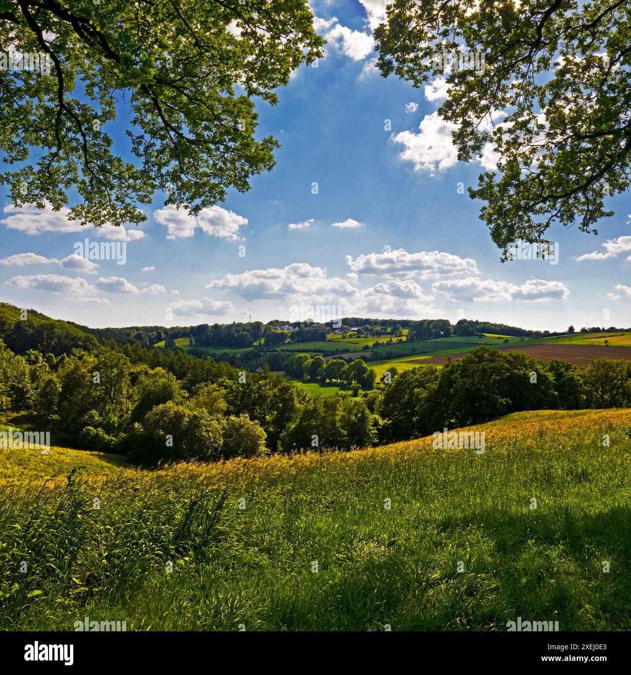 Hügelige Kulturlandschaft mit blauem Himmel und Wolken, Wetter (Ruhr), Ruhrgebiet, Deutschland, Europa Stockfoto