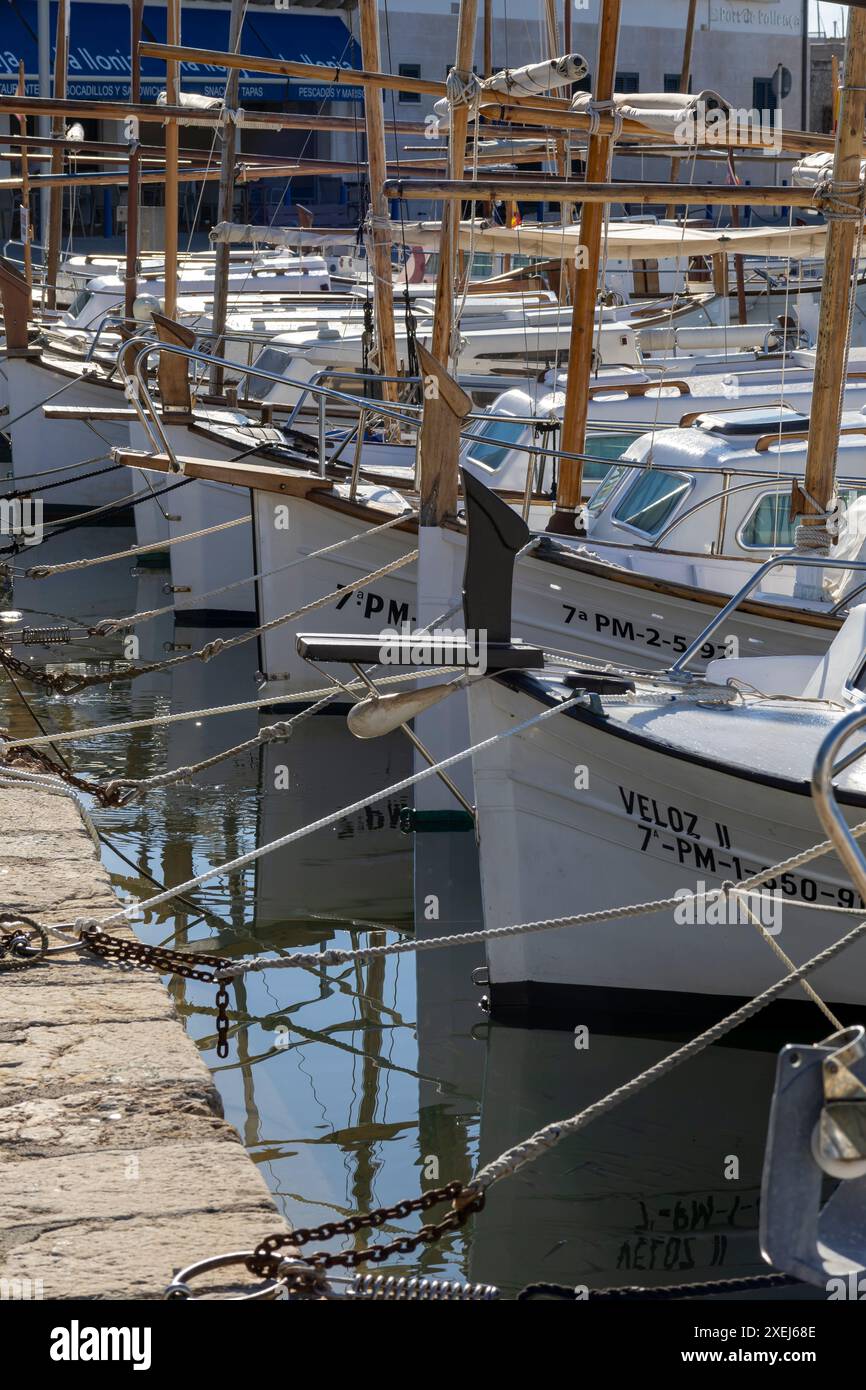 Hafen, Puerto Pollensa, Port de Pollenca, Mallorca, Balearen, Spanien Stockfoto