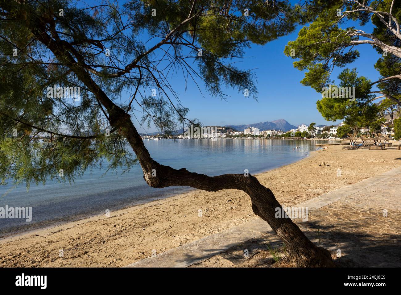Puerto Pollensa, Port de Pollenca, Mallorca, Balearen, Spanien Stockfoto