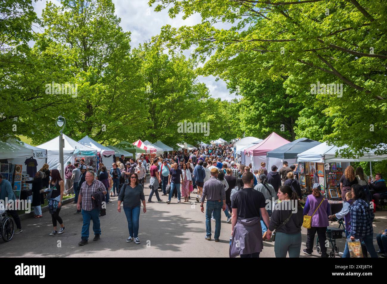 Rochester, NY, USA - 12. Mai 2024: Das Rochester Lilac Festival ist das größte kostenlose Festival, bei dem Besucher shoppen, Live-Musik hören, essen und erkunden können Stockfoto
