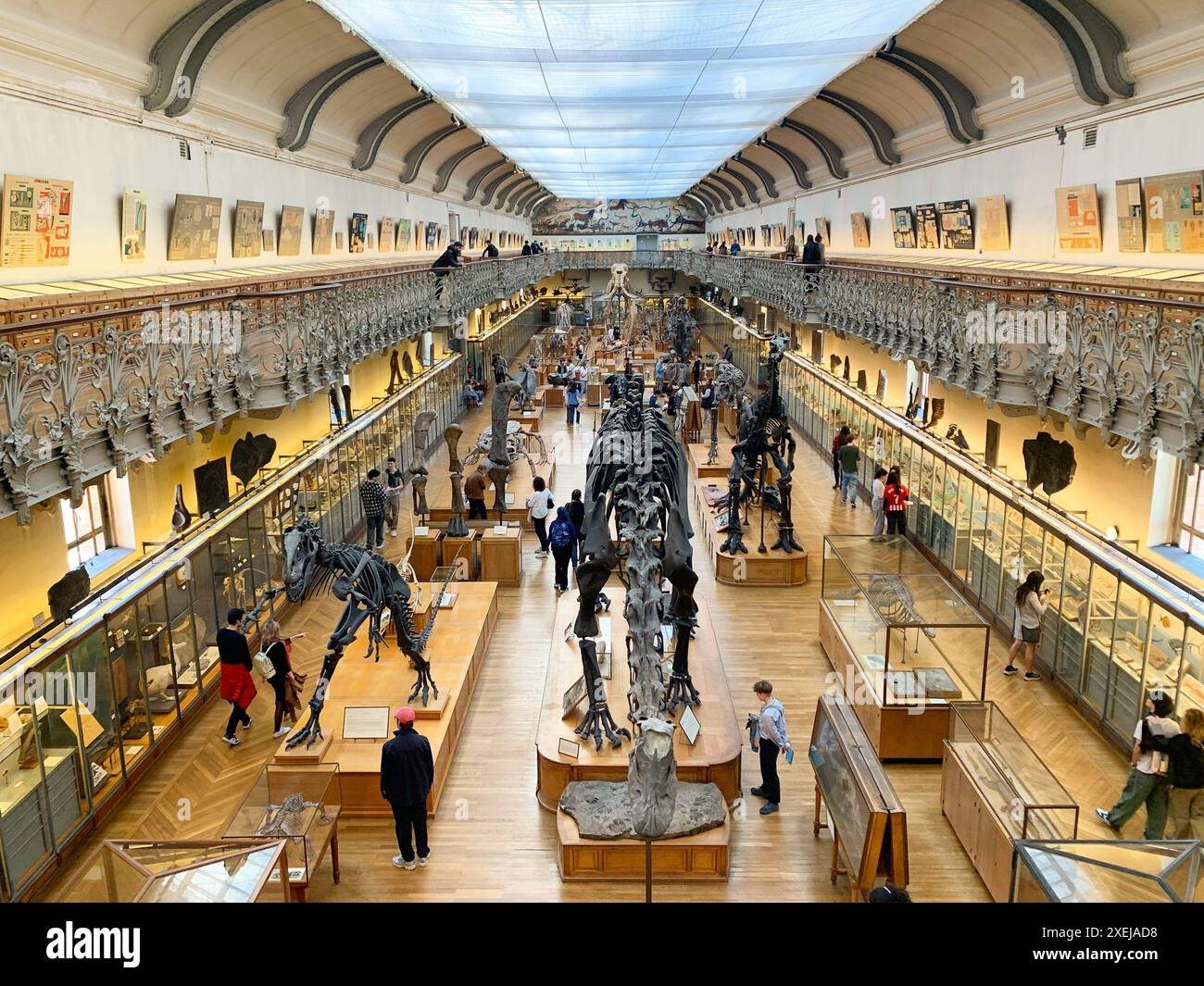 Skelette für Tiere und Dinosaurier in der Galerie für Paläontologie und vergleichende Anatomie, Französisches Naturkundemuseum im Jardin des Plantes, Par Stockfoto