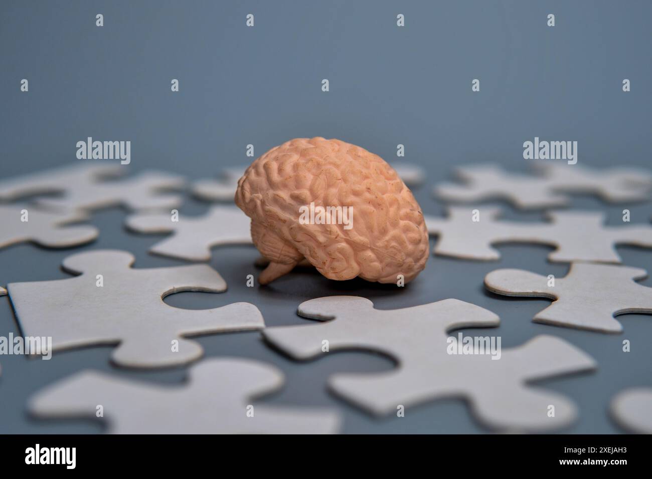 Ein Nahmodell eines menschlichen Gehirns, umgeben von verstreuten Puzzleteilen. Stockfoto