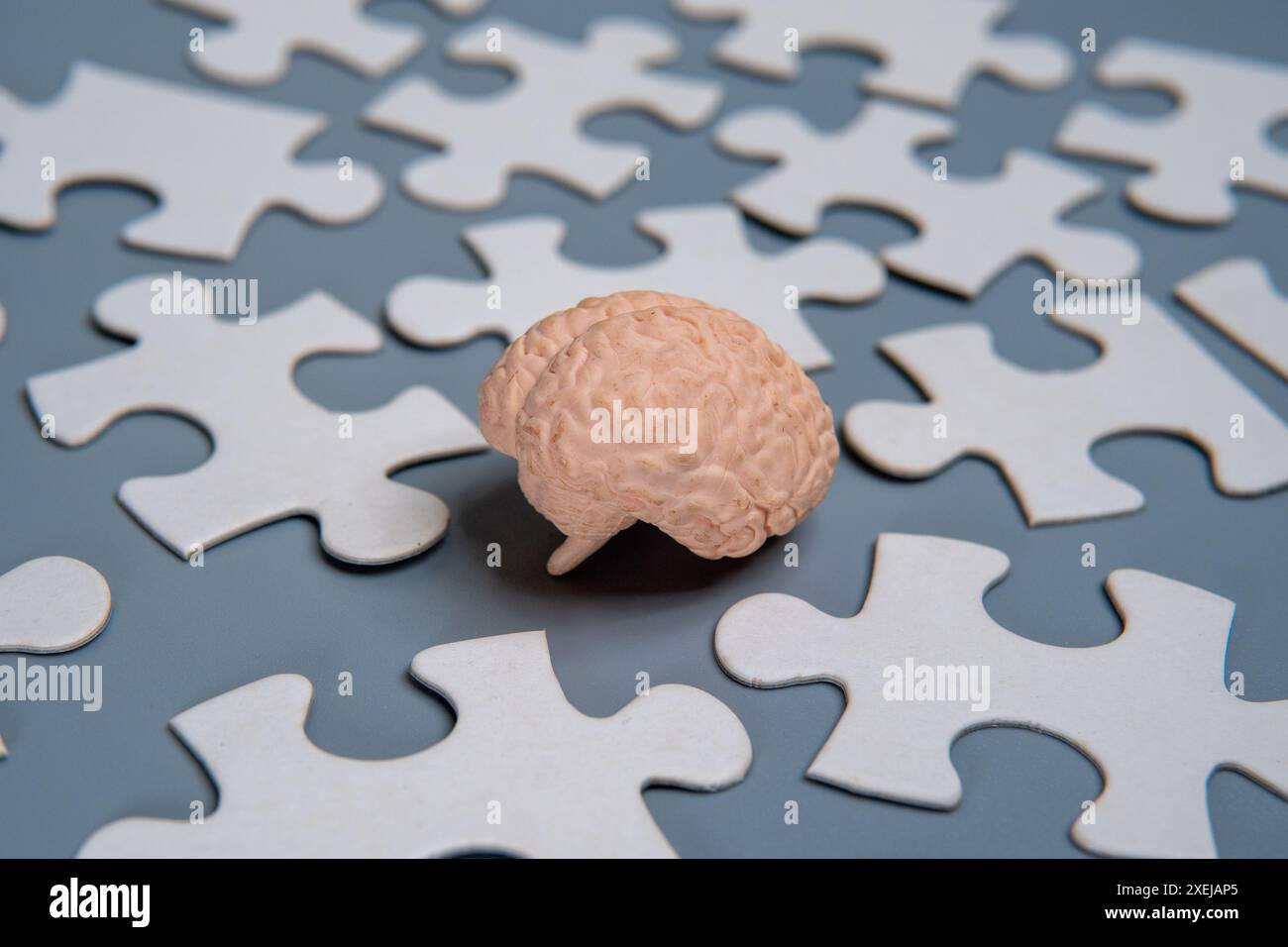 Ein Nahmodell eines menschlichen Gehirns, umgeben von verstreuten Puzzleteilen. Stockfoto