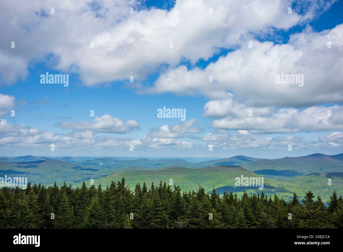 Der Hunter Mountain Feuerturm ist einer von fünf in den Catskill Mountains und einer von 23 im Bundesstaat New York und steht mit 4039 Fuß am höchsten. Die Vinta Stockfoto
