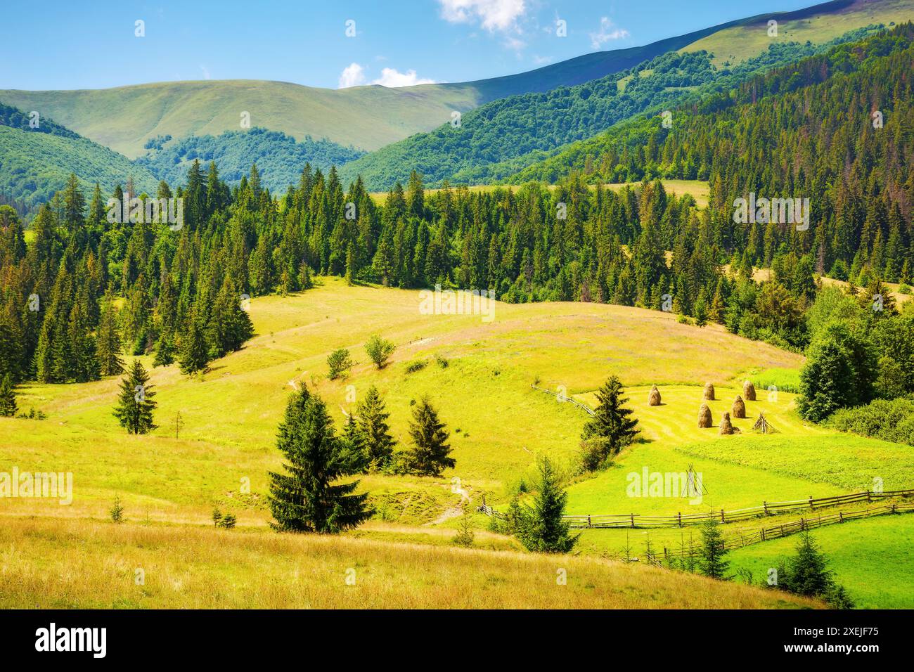 Ländliche Landschaft mit Feld auf einem Hügel. Heuhaufen auf einer grünen Wiese. Wunderschöne Landschaft an einem Sommertag in den Bergen. transkarpaten Stockfoto