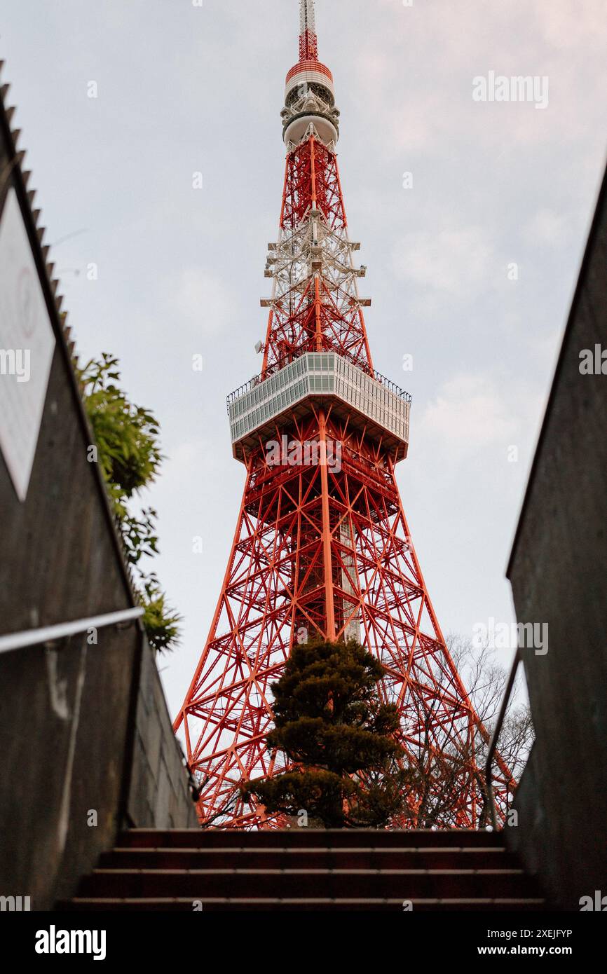 Tokyo Tower, eingerahmt von der Treppe Stockfoto