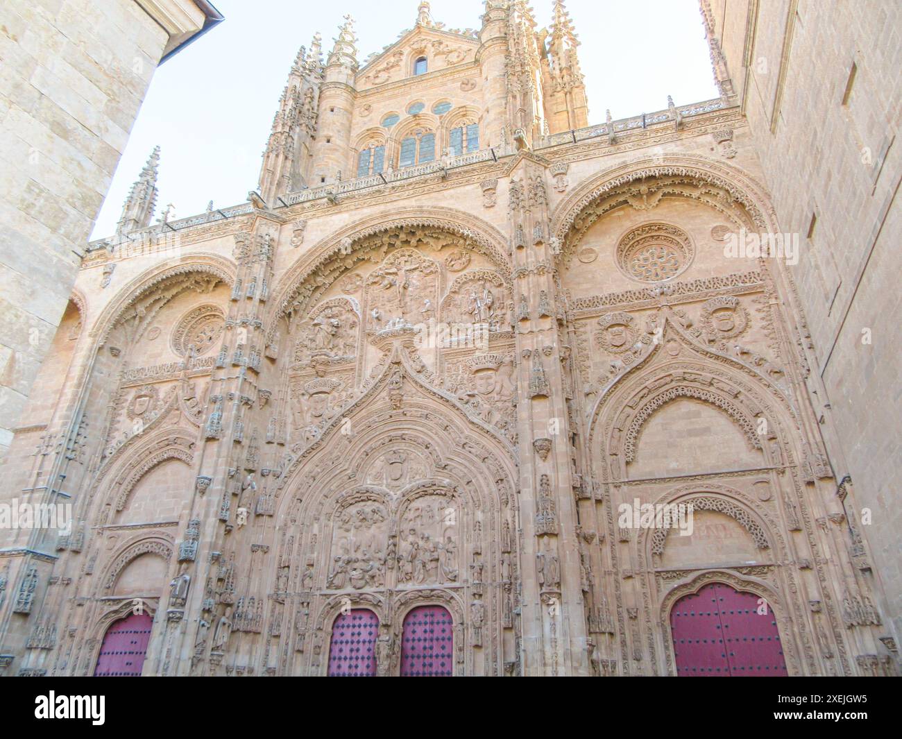 Kunstvolle Fassade der Kathedrale von Salamanca mit detaillierten Schnitzereien Stockfoto