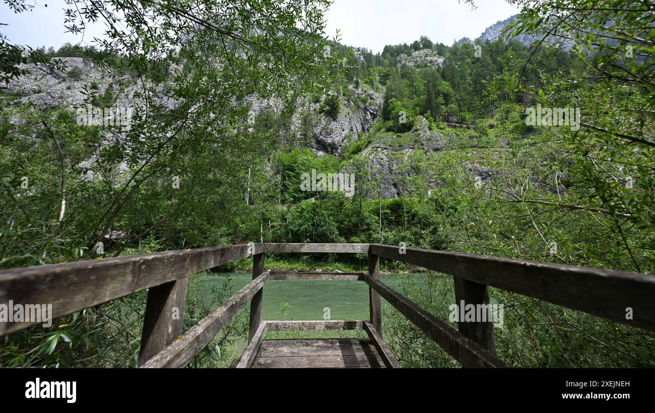 THEMENBILD - Projekt 'Bild der Zukunft': Illustration zum Thema Nationalpark Gesäuse / Naturschutz / Renaturalisierung / Umwelt, Aufnahme im Nationalpark Gesäuse am 21. Juni 2024. Im Nationalpark Gesäuse in der Steiermark werden Forschung am Boden und in der Luft durchgeführt. Eine Windunterbrechung wurde als Gelegenheit genutzt, eine langfristige Überwachung von Totholz zu starten und die langsame Veränderung bei der Zersetzung von Baumstämmen zu dokumentieren. Ein weiteres Projekt untersucht die Baumkronen-Region der Wälder. Um dieses Ökosystem zu verstehen, werden Fallen in luftiger Höhe aufgestellt. Die Stockfoto