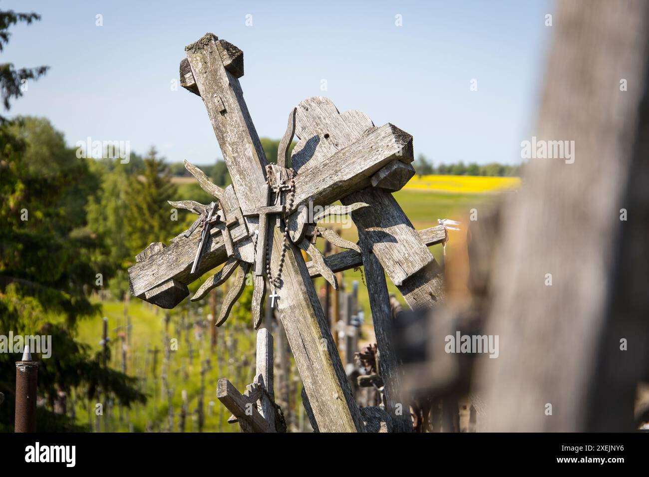 Hölzerne Kreuze auf dem Hügel der Kreuze in Å iauliai, Litauen Stockfoto