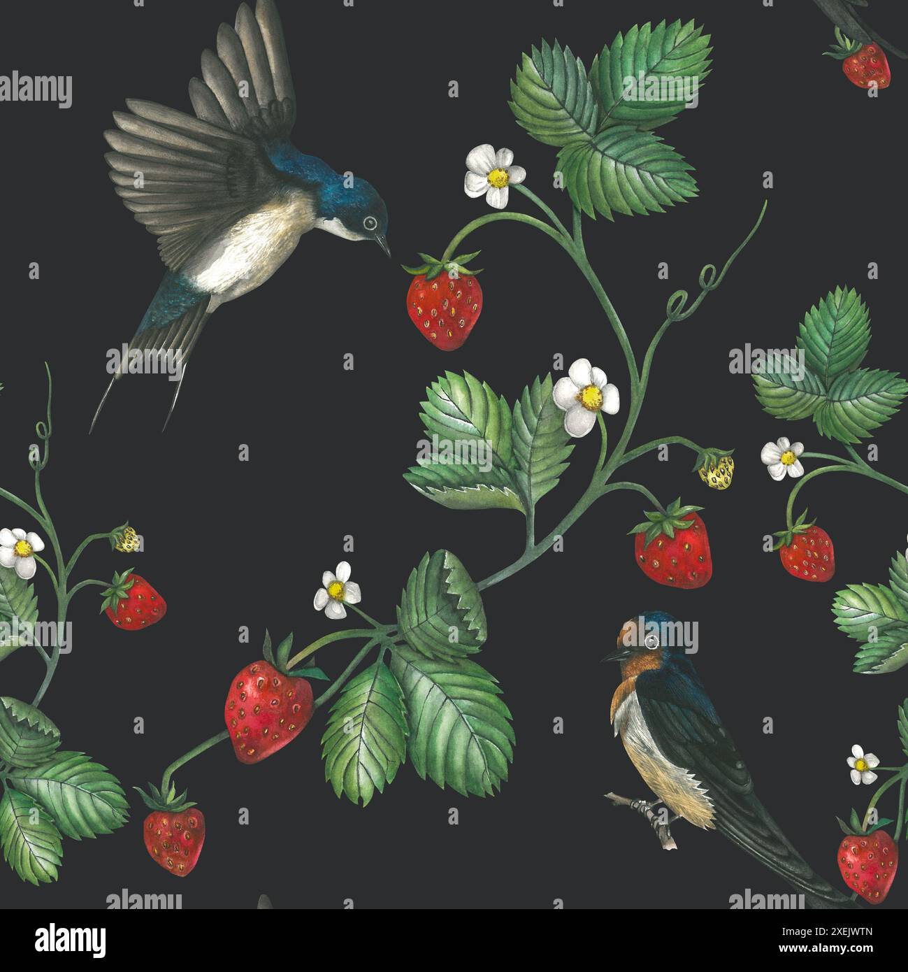 Aquarellmuster von Illustrationen einer Schwalbe und einer Erdbeere. Handgezeichnet, isoliert auf weißem Hintergrund Stockfoto