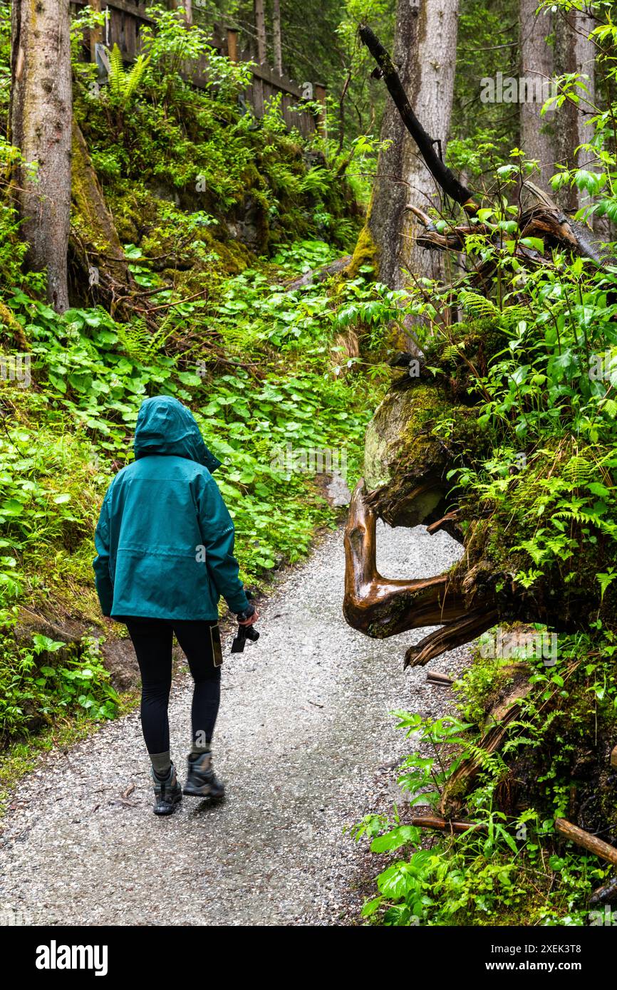 Natur entdecken: Wanderer auf dem Weg zum Krimmler Wasserfall in Österreich Stockfoto