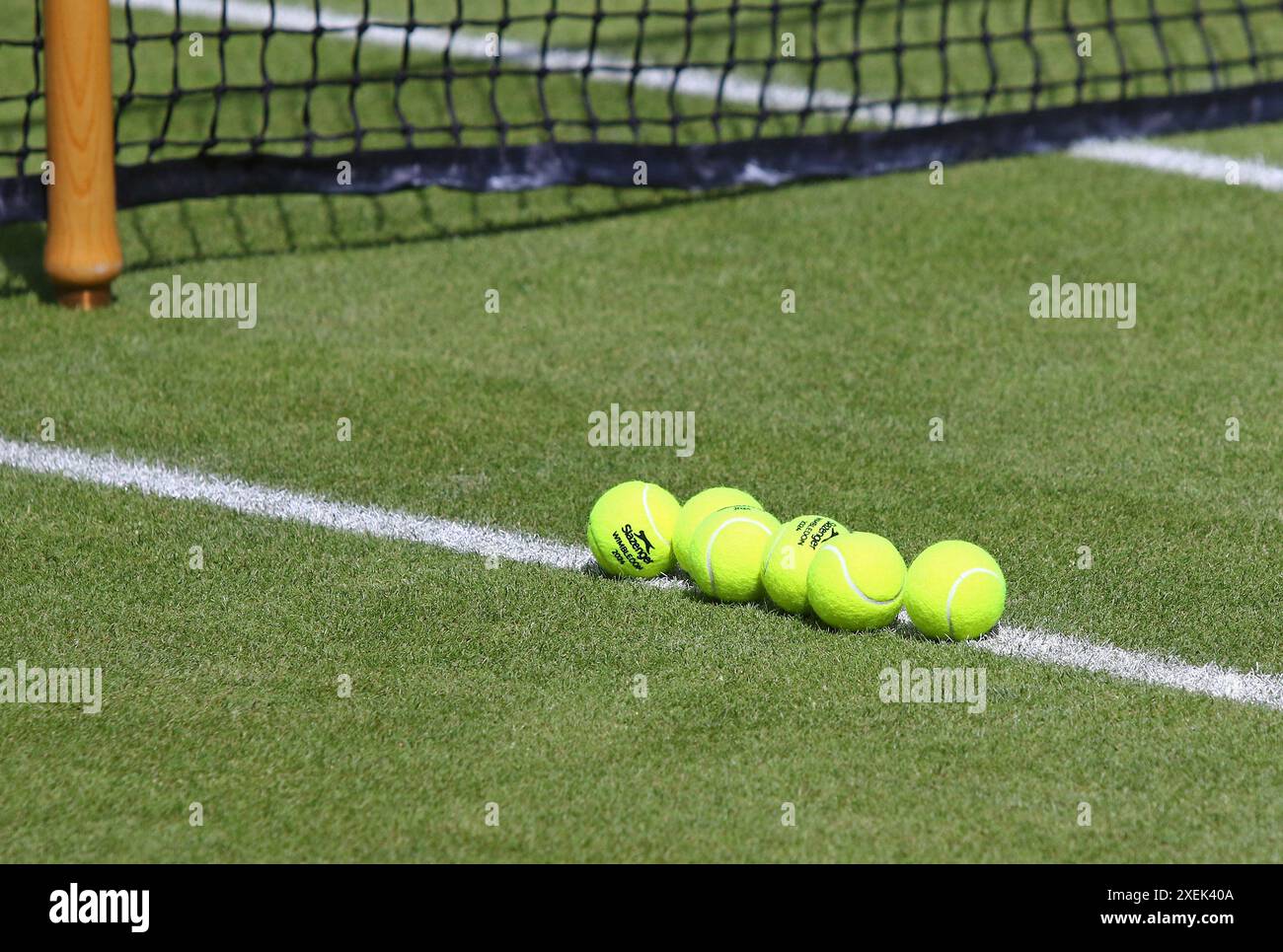 Berlin, Deutschland - 22. Juni 2024: Gelbe Tennisbälle Slazenger Wimbledon 2024 auf dem grünen Rasen des Rot Weiss Tennis Club in Berlin während der WT Stockfoto